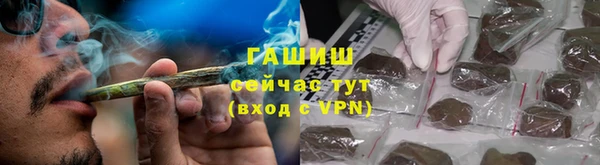 шишки Белокуриха