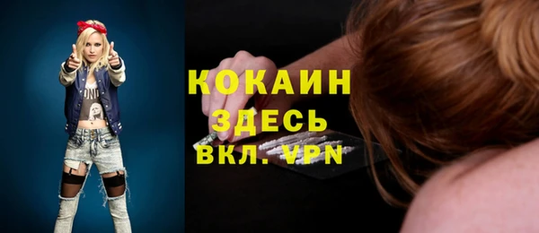 шишки Белокуриха