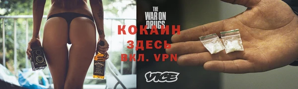 шишки Белокуриха