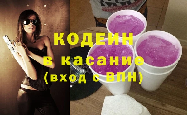 шишки Белокуриха