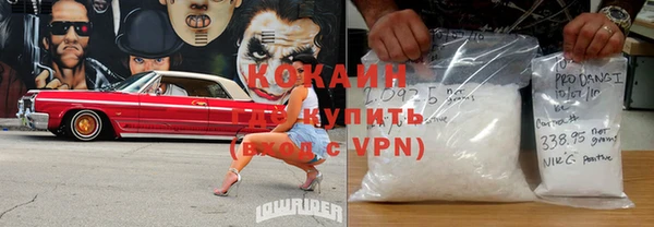 шишки Белокуриха