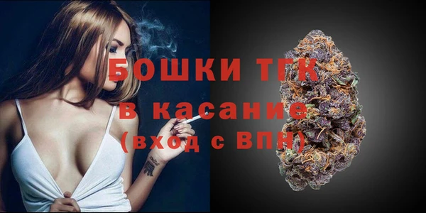 шишки Белокуриха